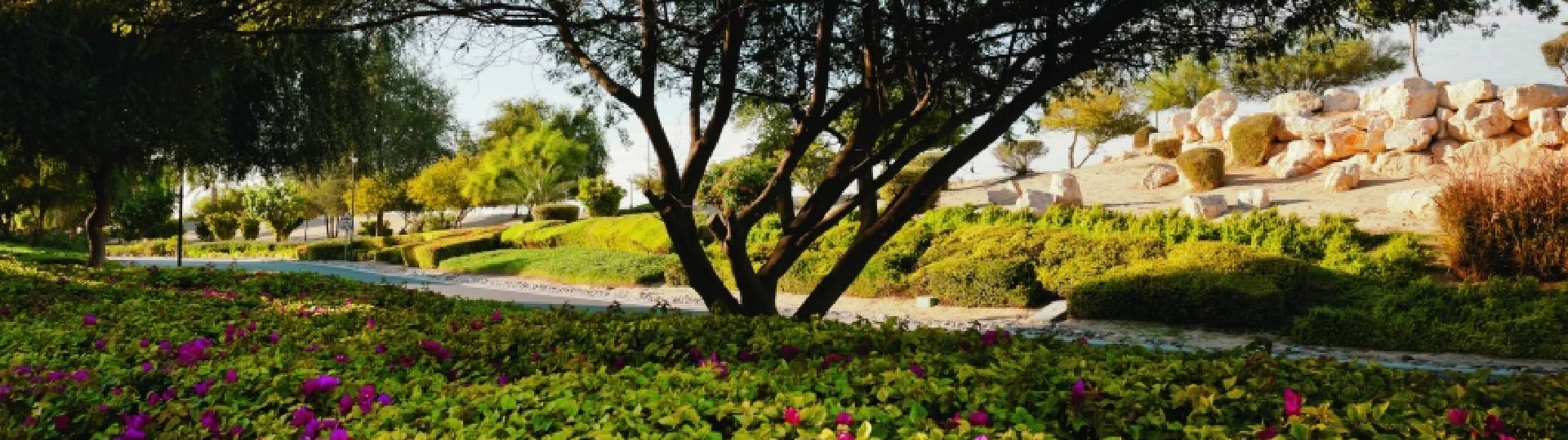 COMMUNITY FLORA