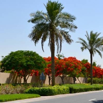 Arabic and spanish style villas with panoramic views of Al Reem Lake